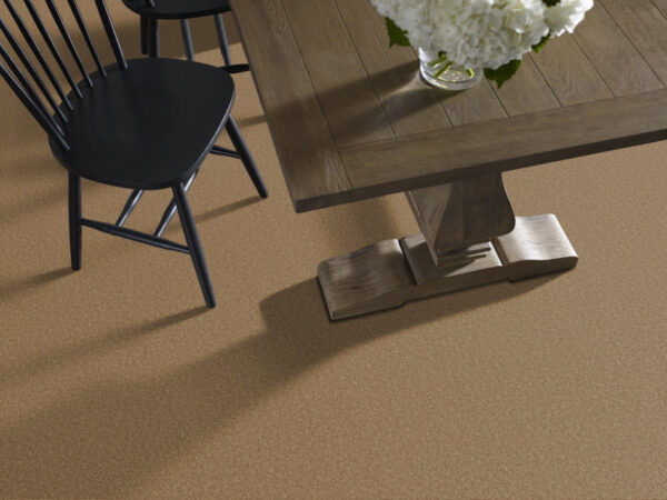 Shaw Floors Carpet Las Cruces Radiance 00250_5E820 - Image 2