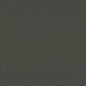 Shaw Floors Carpet Las Cruces Fig Leaf 00350_5E820