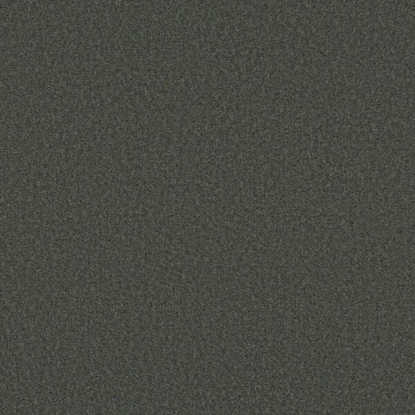 Shaw Floors Carpet Las Cruces Fig Leaf 00350_5E820