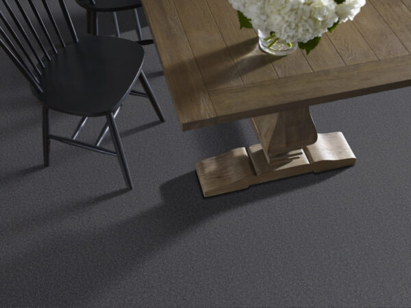 Shaw Floors Carpet Las Cruces Charter 00450_5E820 - Image 2