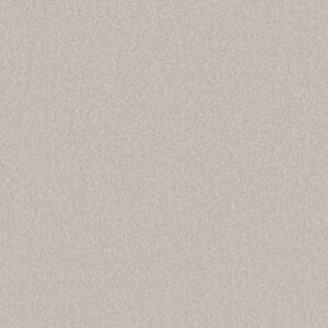 Shaw Floors Carpet Las Cruces Luna 00550_5E820
