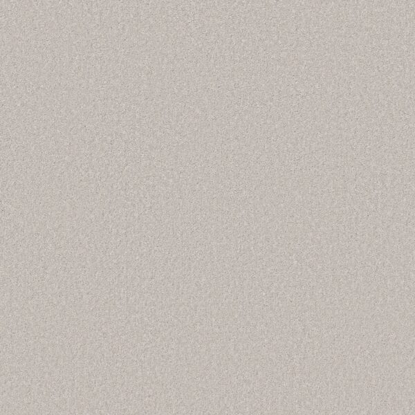 Shaw Floors Carpet Las Cruces Luna 00550_5E820