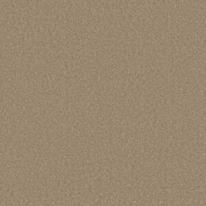 Shaw Floors Carpet Las Cruces Hickory 00711_5E820