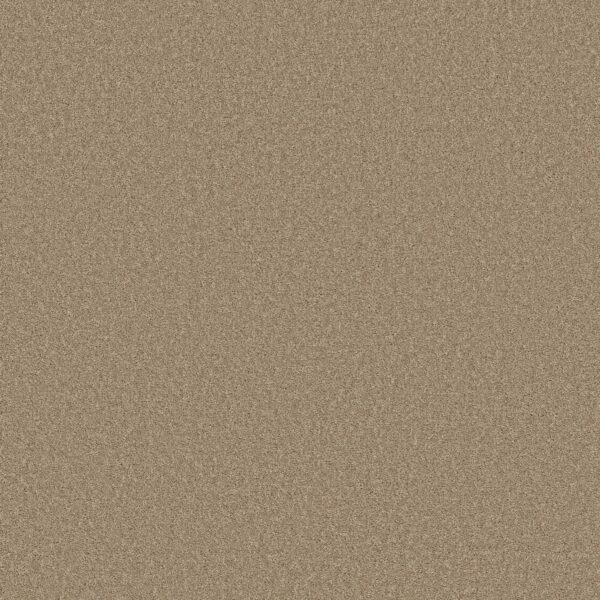 Shaw Floors Carpet Las Cruces Hickory 00711_5E820