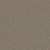 Shaw Floors Carpet Las Cruces Barn Wood 00714_5E820