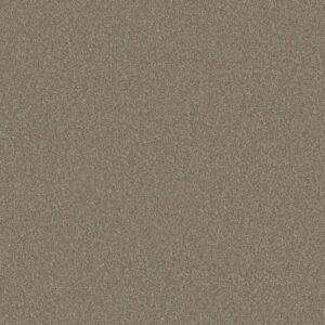 Shaw Floors Carpet Las Cruces Barn Wood 00714_5E820