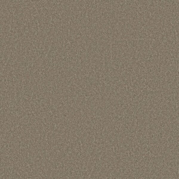 Shaw Floors Carpet Las Cruces Barn Wood 00714_5E820