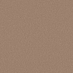 Shaw Floors Carpet Las Cruces Copper Moon 00750_5E820