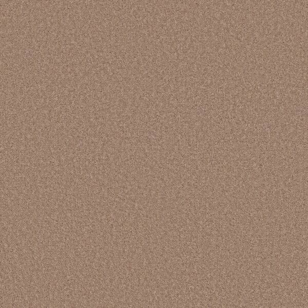 Shaw Floors Carpet Las Cruces Copper Moon 00750_5E820