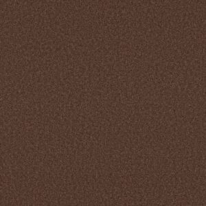 Shaw Floors Carpet Las Cruces Wood Grain 00751_5E820