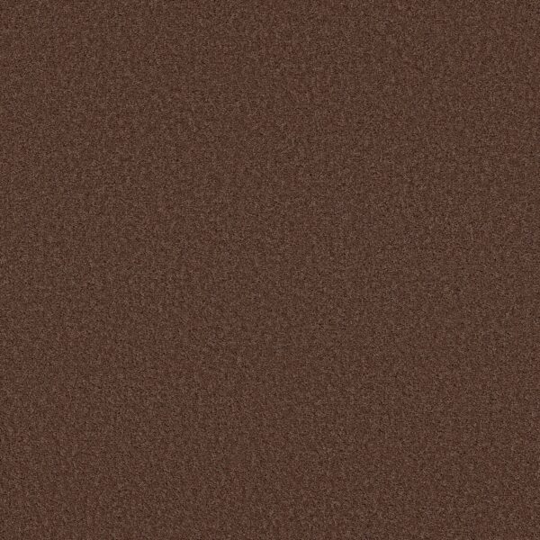 Shaw Floors Carpet Las Cruces Wood Grain 00751_5E820