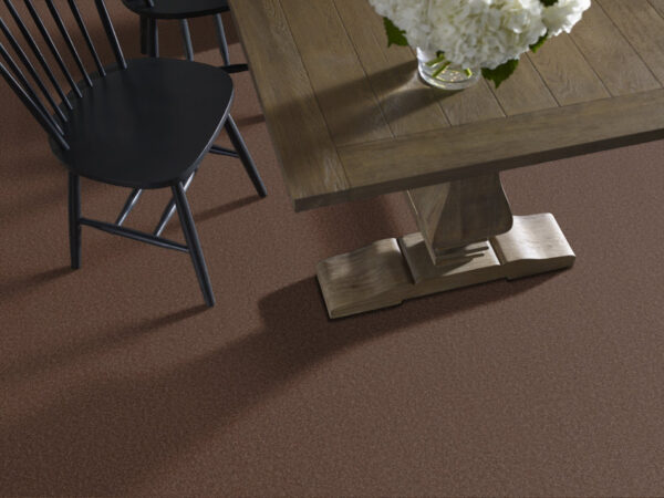 Shaw Floors Carpet Las Cruces Wood Grain 00751_5E820 - Image 2