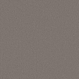 Shaw Floors Carpet Las Cruces Silhouette 00753_5E820
