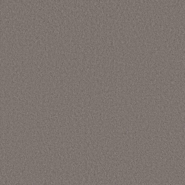 Shaw Floors Carpet Las Cruces Silhouette 00753_5E820
