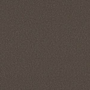 Shaw Floors Carpet Las Cruces Secret Passage 00754_5E820