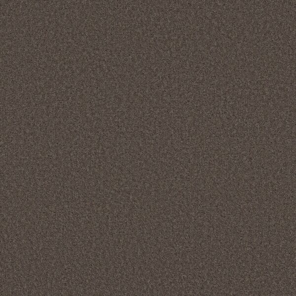 Shaw Floors Carpet Las Cruces Secret Passage 00754_5E820