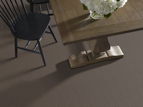 Shaw Floors Carpet Las Cruces Secret Passage 00754_5E820 - Image 2