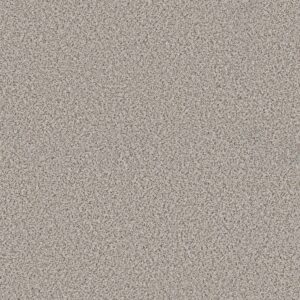 Shaw Floors Carpet Abilene I Pixels 00170_5E821