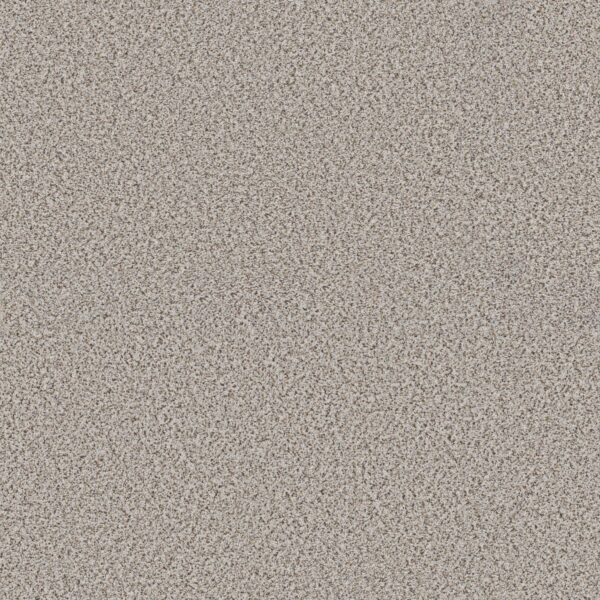 Shaw Floors Carpet Abilene I Pixels 00170_5E821