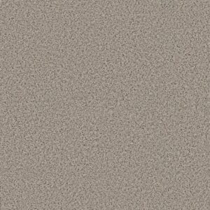 Shaw Floors Carpet Abilene I Gentle Rain 00171_5E821