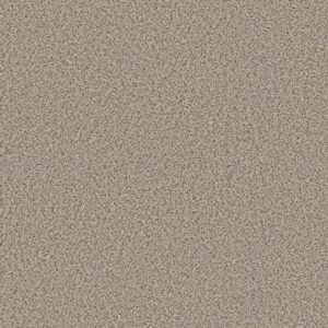 Shaw Floors Carpet Abilene I Horizon 00172_5E821
