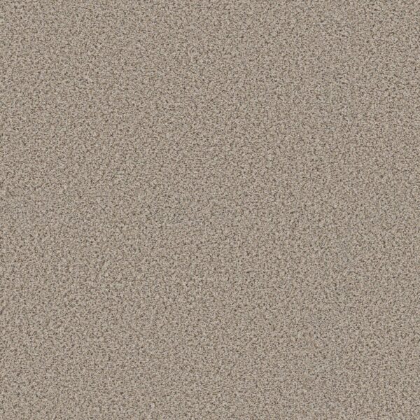 Shaw Floors Carpet Abilene I Horizon 00172_5E821