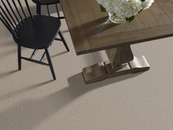 Shaw Floors Carpet Abilene I Horizon 00172_5E821 - Image 2