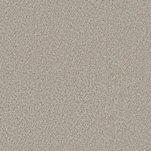 Shaw Floors Carpet Abilene I Swiss Coffee 00173_5E821