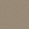 Shaw Floors Carpet Abilene I Sand Castle 00174_5E821