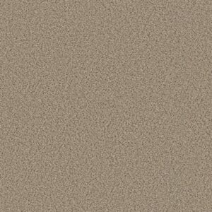 Shaw Floors Carpet Abilene I Sand Castle 00174_5E821