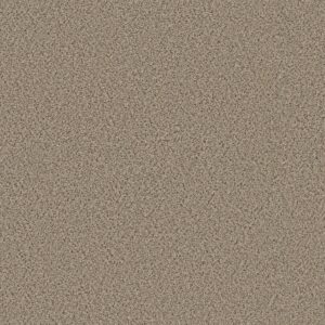 Shaw Floors Carpet Abilene I Twine 00175_5E821