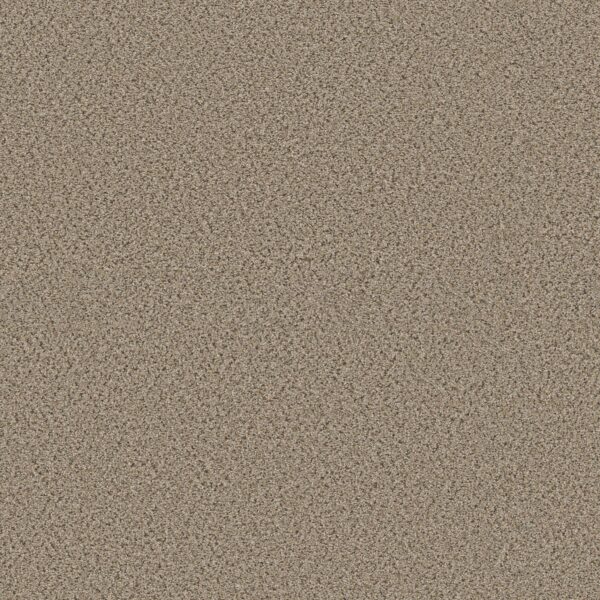Shaw Floors Carpet Abilene I Twine 00175_5E821