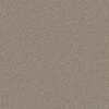 Shaw Floors Carpet Abilene I Acreage 00176_5E821