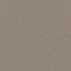 Shaw Floors Carpet Abilene I Acreage 00176_5E821
