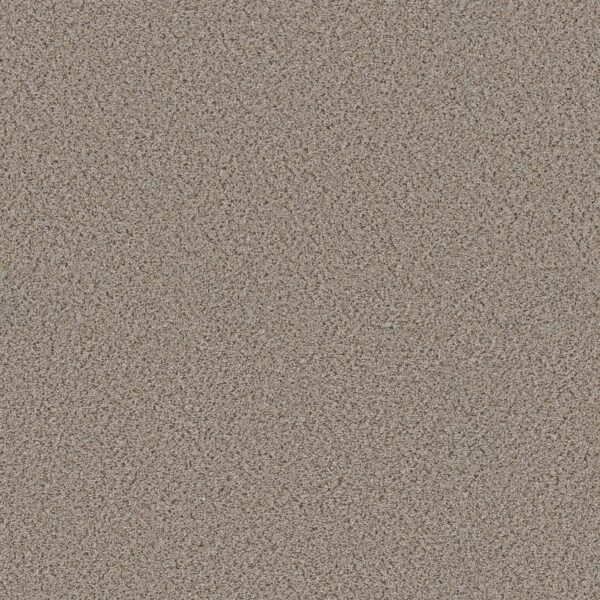 Shaw Floors Carpet Abilene I Acreage 00176_5E821