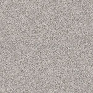 Shaw Floors Carpet Abilene I Whitewash 00177_5E821