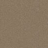 Shaw Floors Carpet Abilene I Bridle Leather 00270_5E821