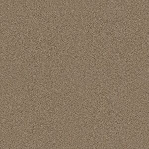 Shaw Floors Carpet Abilene I Bridle Leather 00270_5E821
