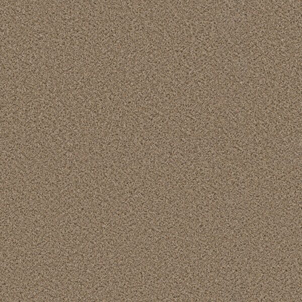 Shaw Floors Carpet Abilene I Bridle Leather 00270_5E821