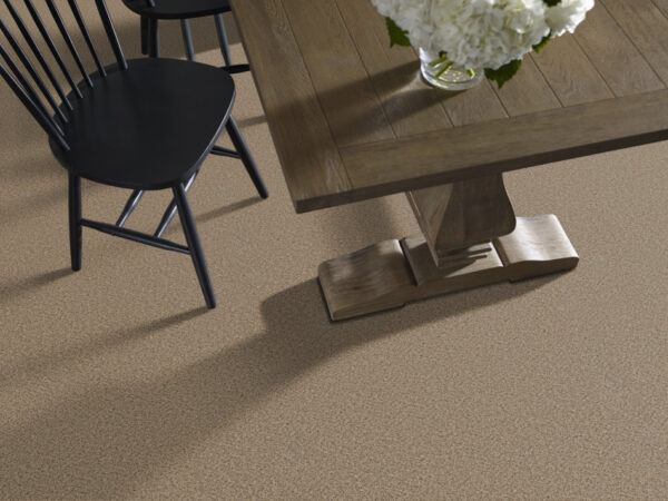 Shaw Floors Carpet Abilene I Bridle Leather 00270_5E821 - Image 2