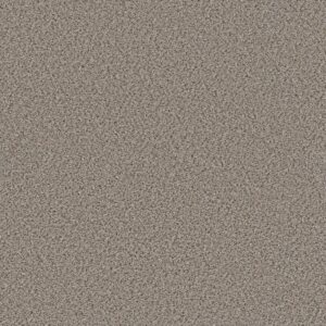 Shaw Floors Carpet Abilene I Pencil Sketch 00570_5E821