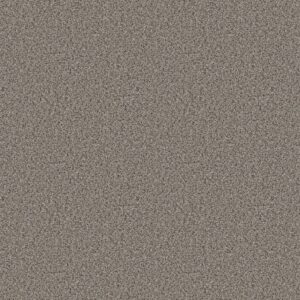 Shaw Floors Carpet Abilene I Powerful 00573_5E821