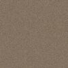 Shaw Floors Carpet Abilene I Arrowhead 00770_5E821