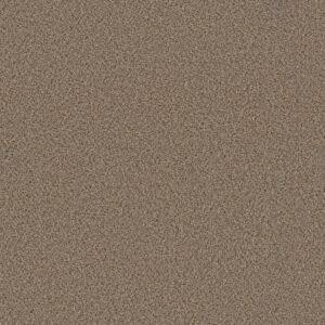 Shaw Floors Carpet Abilene I Arrowhead 00770_5E821