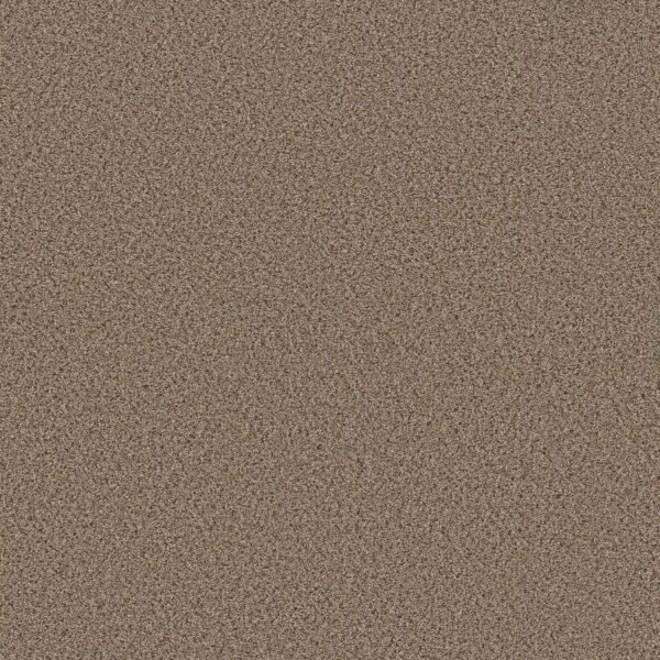 Shaw Floors Carpet Abilene I Arrowhead 00770_5E821