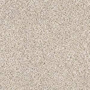 Shaw Floors Carpet Abilene II Pixels 00170_5E822