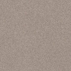 Shaw Floors Carpet Abilene II Horizon 00172_5E822