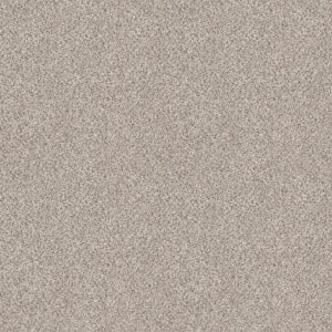 Shaw Floors Carpet Abilene II Swiss Coffee 00173_5E822