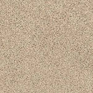 Shaw Floors Carpet Abilene II Sand Castle 00174_5E822