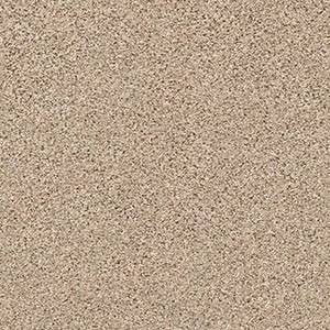 Shaw Floors Carpet Abilene II Twine 00175_5E822